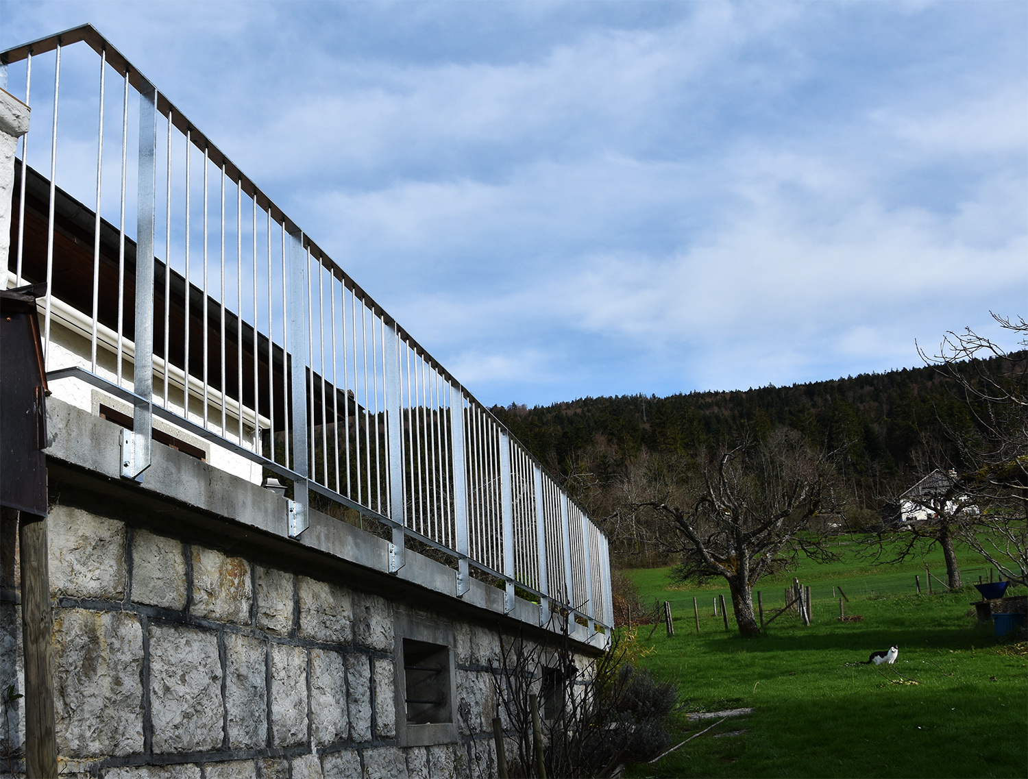 barriere-metallique-extérieure-Savagnier