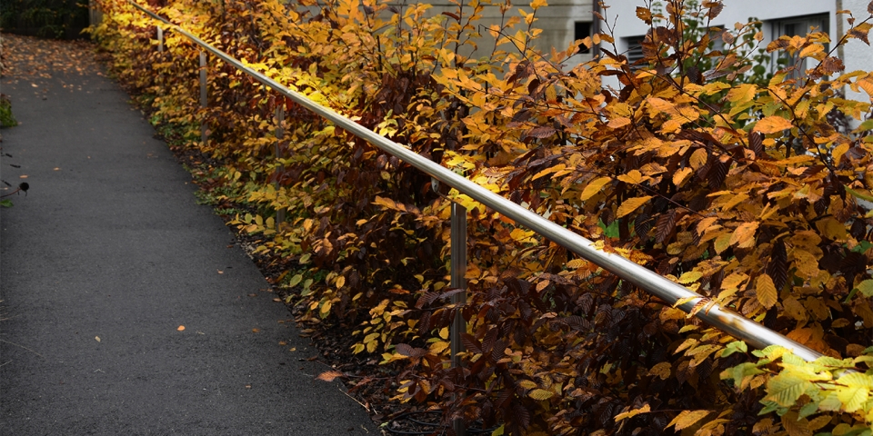 Mains courantes métalliques dans un parc